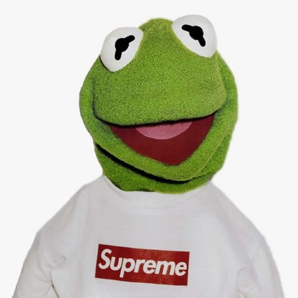 Meet your Posher, Rohan - Picture 1 of 1